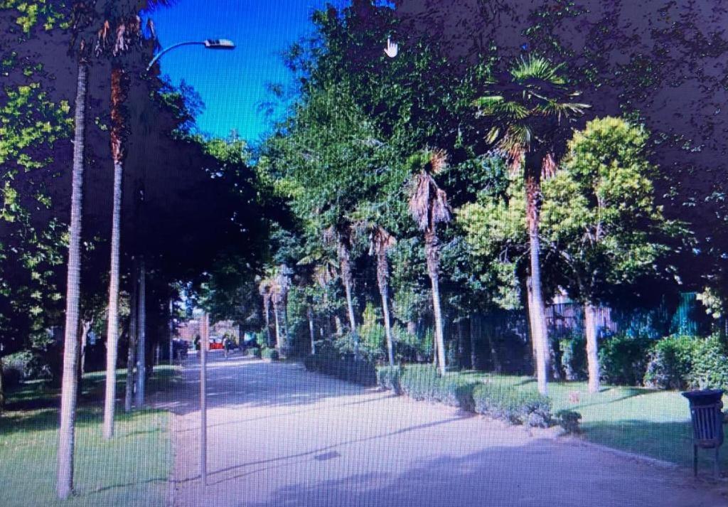 Noria 2B Leilighet Alcalá de Henares Eksteriør bilde